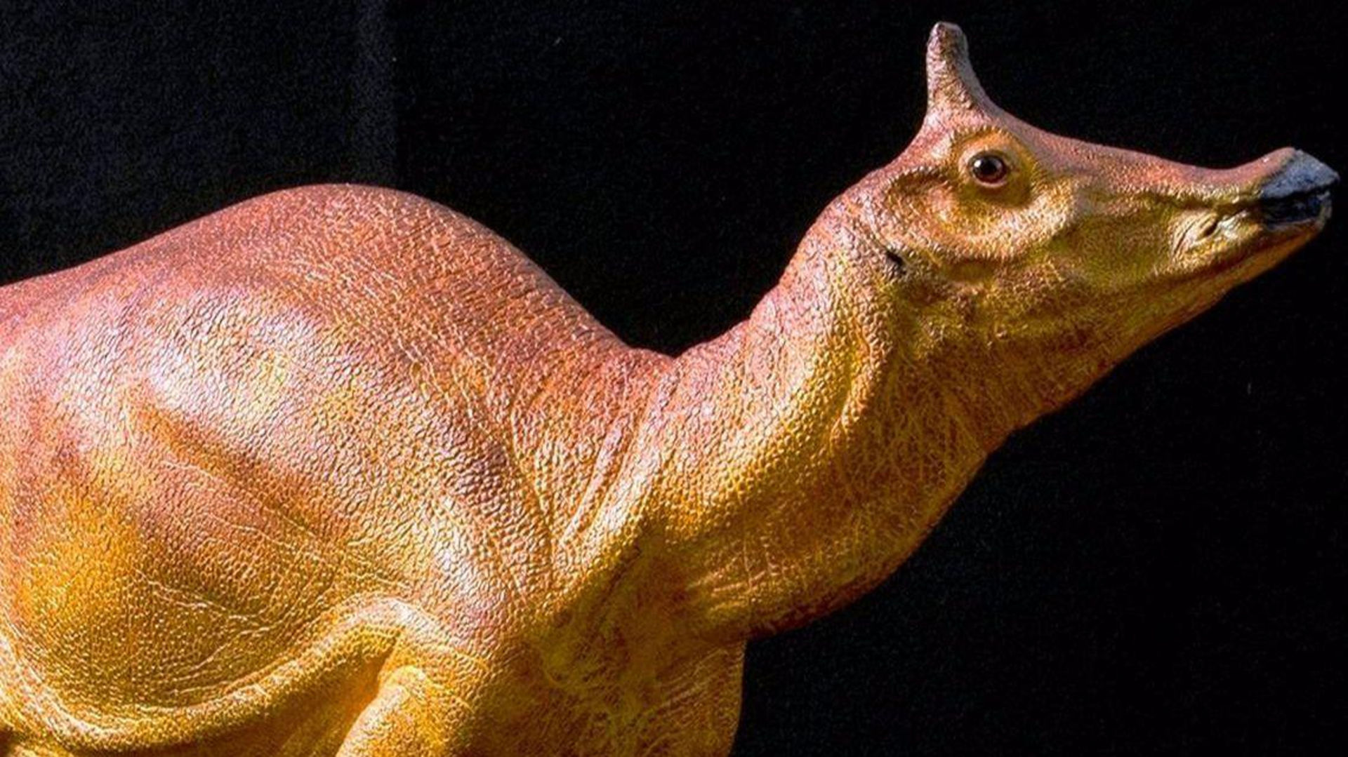 State Dinosaur